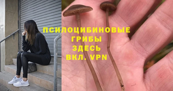 круглые Алзамай