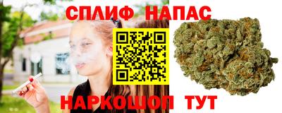 mdpv Малоярославец