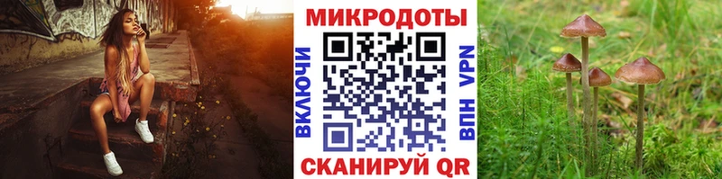 Псилоцибиновые грибы GOLDEN TEACHER  купить  сайты  Якутск 