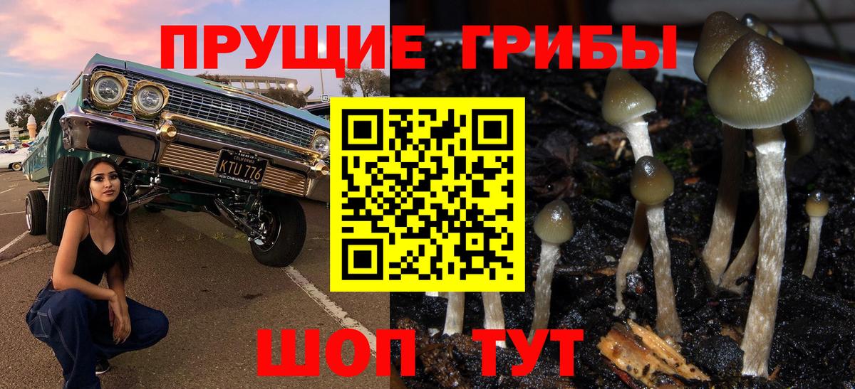 Псилоцибиновые грибы прущие грибы  хочу наркоту  Галлюциногенные грибы Magic Shrooms  Якутск  Вход с VPN 